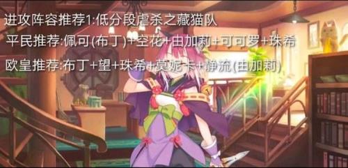 波塞西猫队阵容