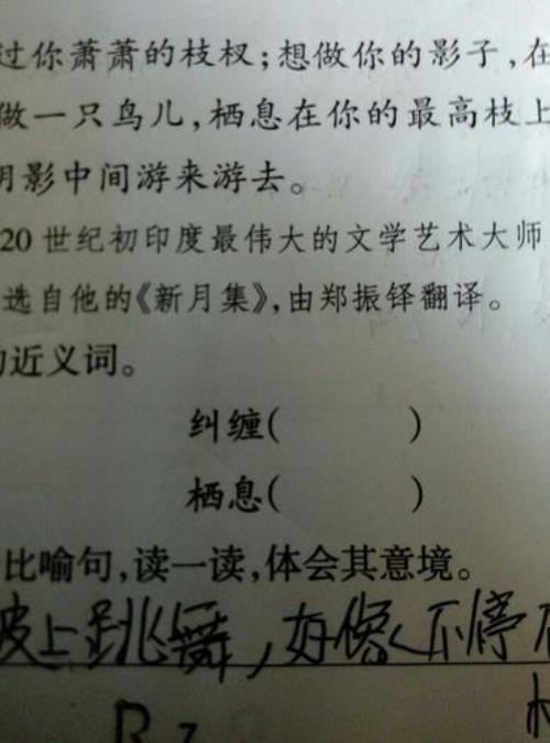 请教的近义词是什么
