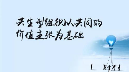 组织形态的特点
