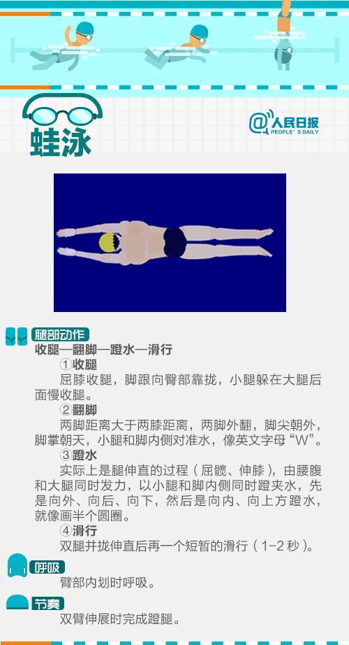 蛙式游泳教程