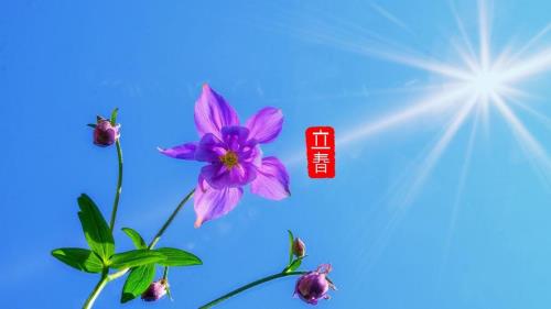 24节气集卡立春什么时候发放