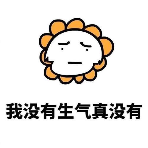 女生生气不理你了，该怎么办