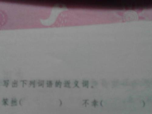 照例的近义词