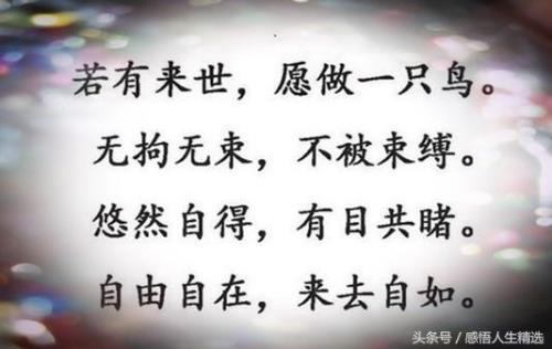 下辈子再不来人世间歌曲名
