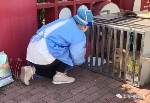 北京宠物无害化处理规定