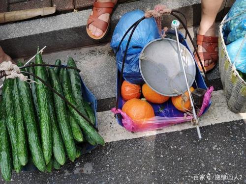 小城市1000元够一个月买菜吗