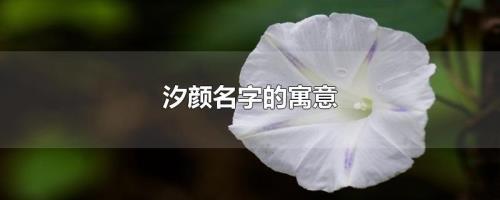 紫梦名字寓意好吗