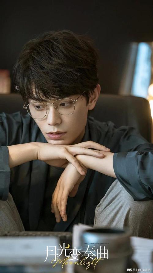 月光变奏曲小鸟什么时候下线