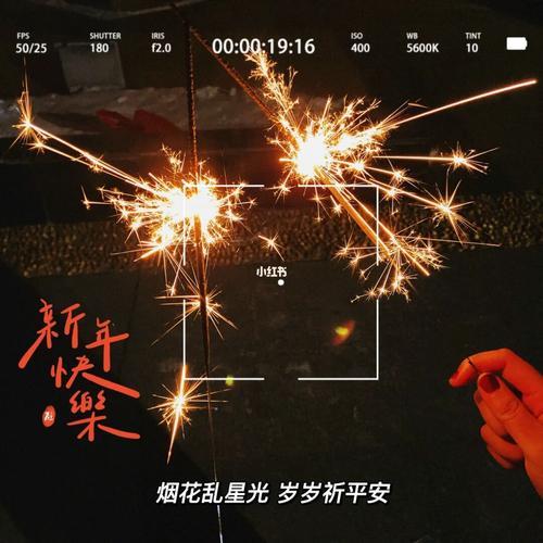 辞慕尔尔，烟火年年啥意思