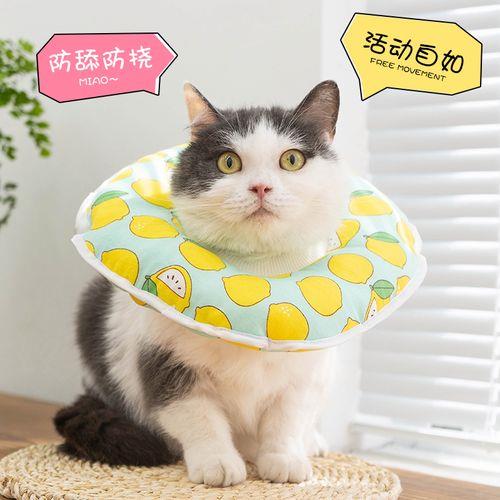 猫咪带上伊丽莎白圈能吃东西吗