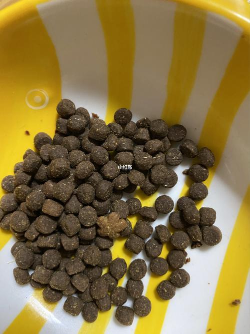 奶思猫粮为什么不火