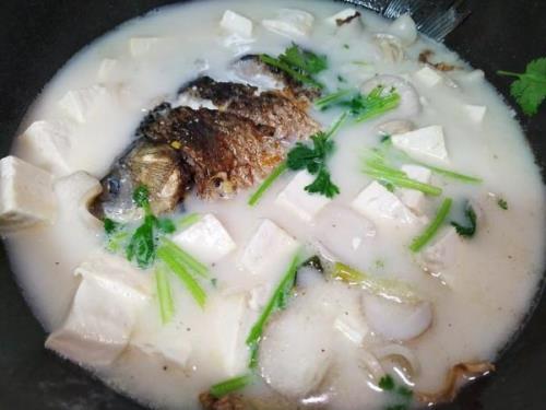 家常鲫鱼豆腐汤的家常做法