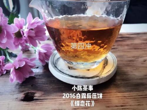 狐狸味道真的很难闻吗