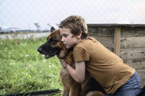 忠犬帕尔玛真实故事原型人物