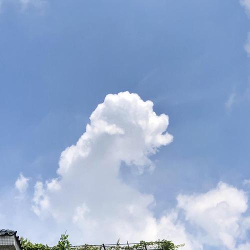 今天天气真好啊续写句子