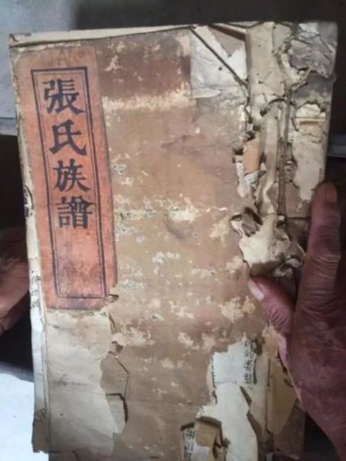 张姓的由来和发展