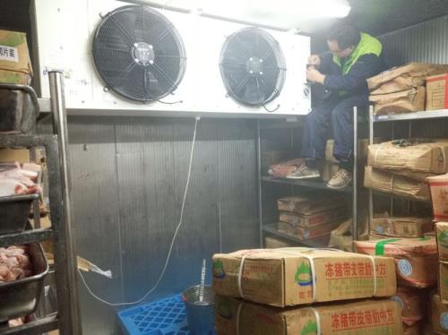 十升冷冻室能装多少肉