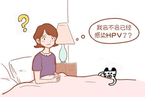 什么是OPV