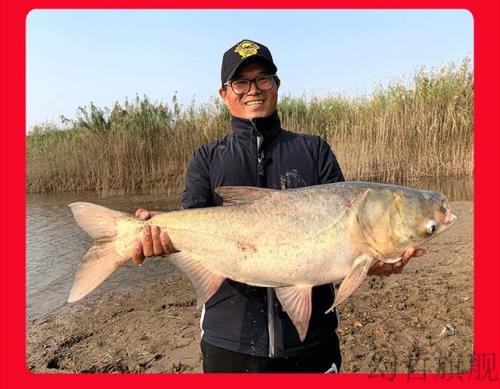 邓刚钓鲢鳙教学线用多大