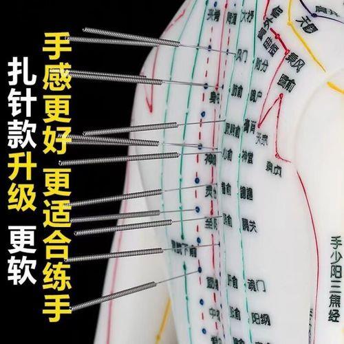 天纪地纪人纪先学哪个