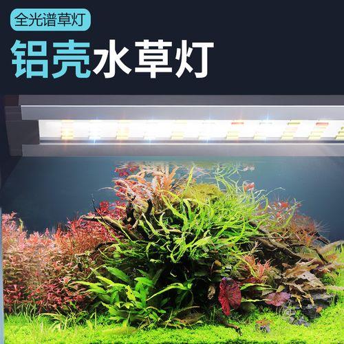 爆藻灯有必要吗