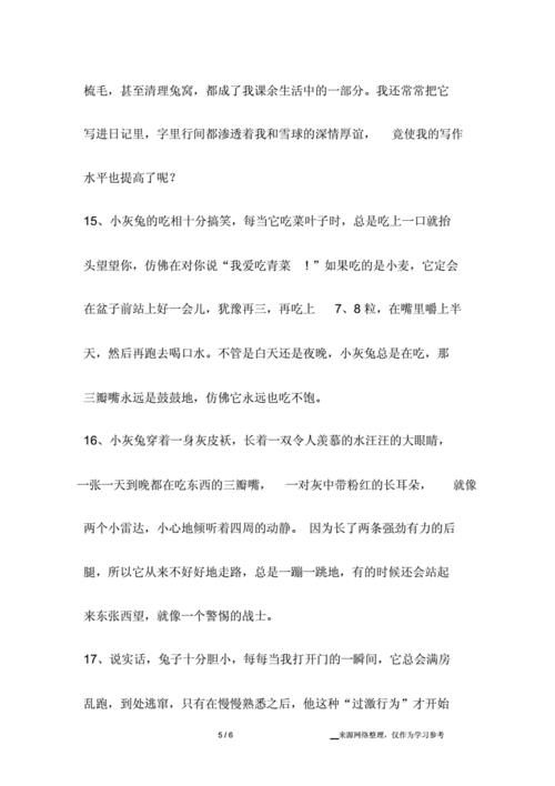 我喜欢可爱的小白兔例句