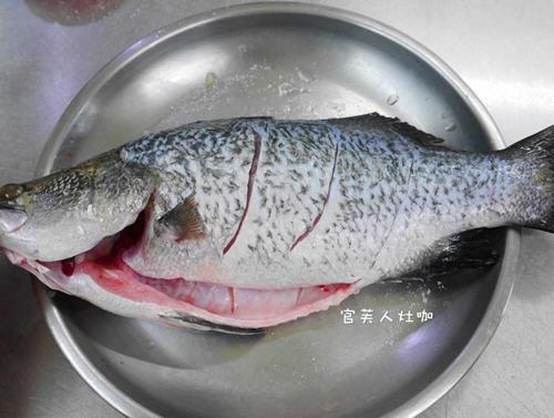 杀好的鲈鱼怎么看新鲜不新鲜