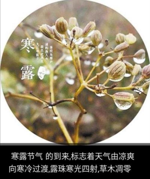 反映气候变化的有哪些节气