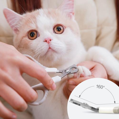 猫咪的指甲能剪吗