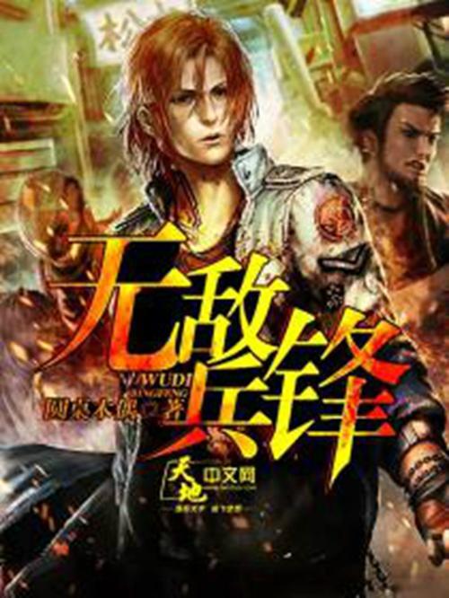 铁血冰锋共有多少集