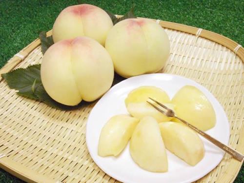 平顶山有什么特产