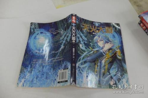 天火大道华丽结局