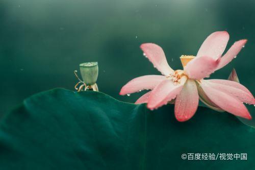 什么的细雨，填一个形容词