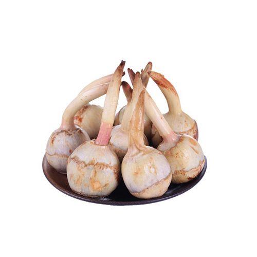 白茨菇怎么吃