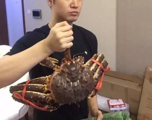 帝王蟹有痛觉神经吗