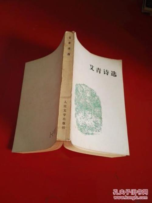 艾青诗选礁石意象分析