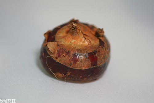 荸荠怎样贮藏才长时间不坏