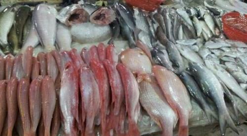 卖冰鲜鱼算杀生吗