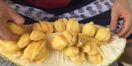 菠萝蜜怎么切开