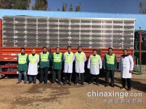 包头哪里有大型的鸽子交易市场