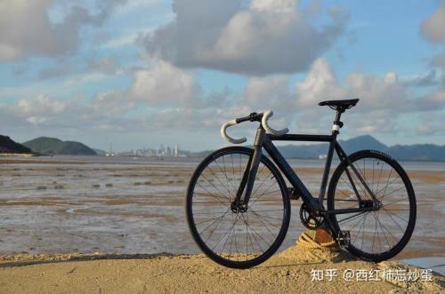 随性是什么意思