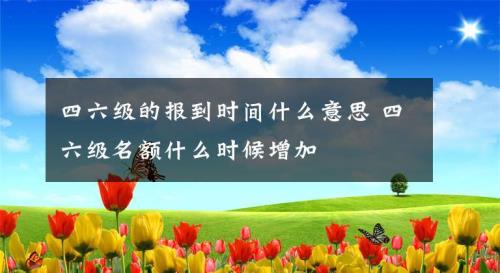 名额是什么意思
