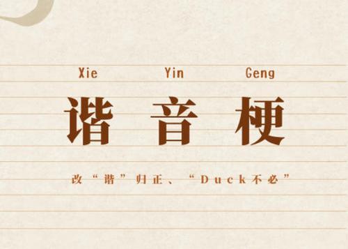 哎呀没事的谐音梗