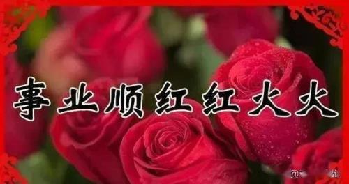 祝你和祝您的区别