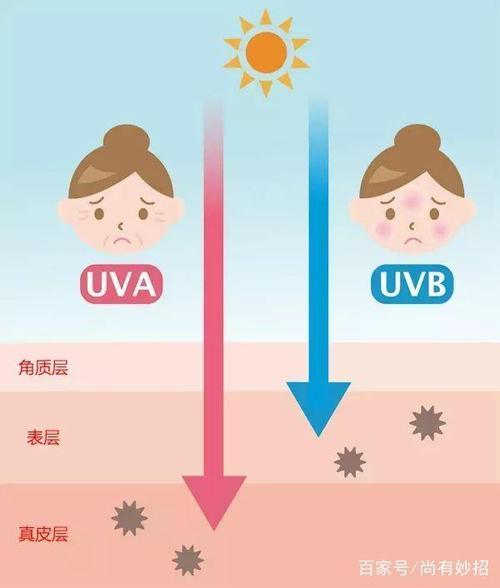 uva是什么意思