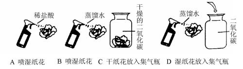 石蕊溶液的化学式