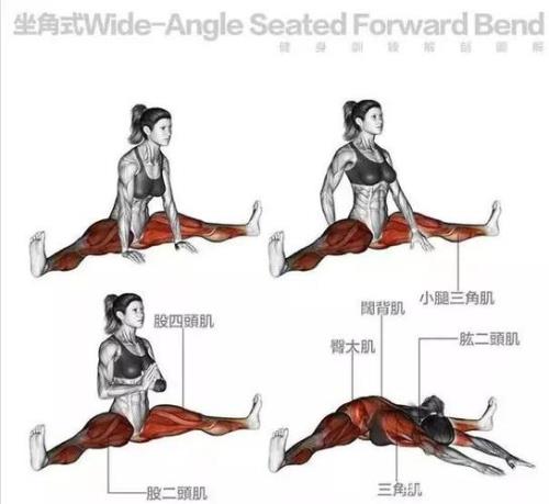 怎样锻炼全身的肌肉
