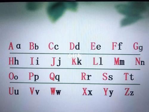 音序，音节分别是什么