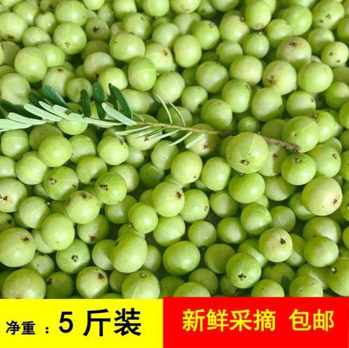 牛甘子正宗腌制方法