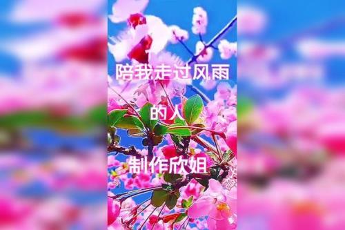 陪我走过风雨的人原唱